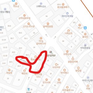 고양이 목격 코리아쇼트헤어 서울특별시 마포구
