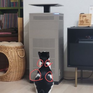 고양이를 찾습니다 고양이 전단지