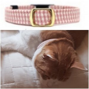 고양이를 찾습니다 고양이 전단지