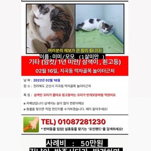 고양이를 찾습니다 고양이 전단지
