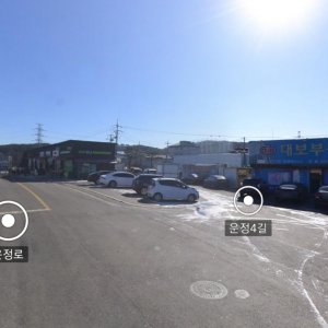 고양이 구조 코리아쇼트헤어 경기도 파주시