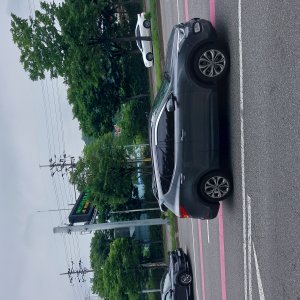 고양이 주인을 찾습니다 고양이 전단지