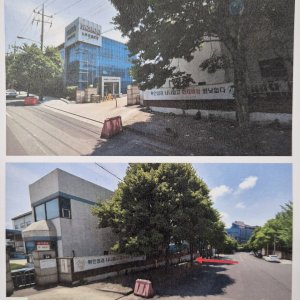 고양이 구조 기타묘종 경상북도 포항시 남구