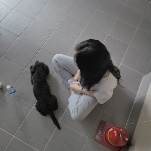 강아지 주인을 찾습니다 강아지 전단지