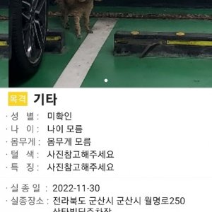 강아지를 찾습니다 강아지 전단지