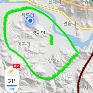 잃어버린 동물을 찾습니다 분실동물 전단지
